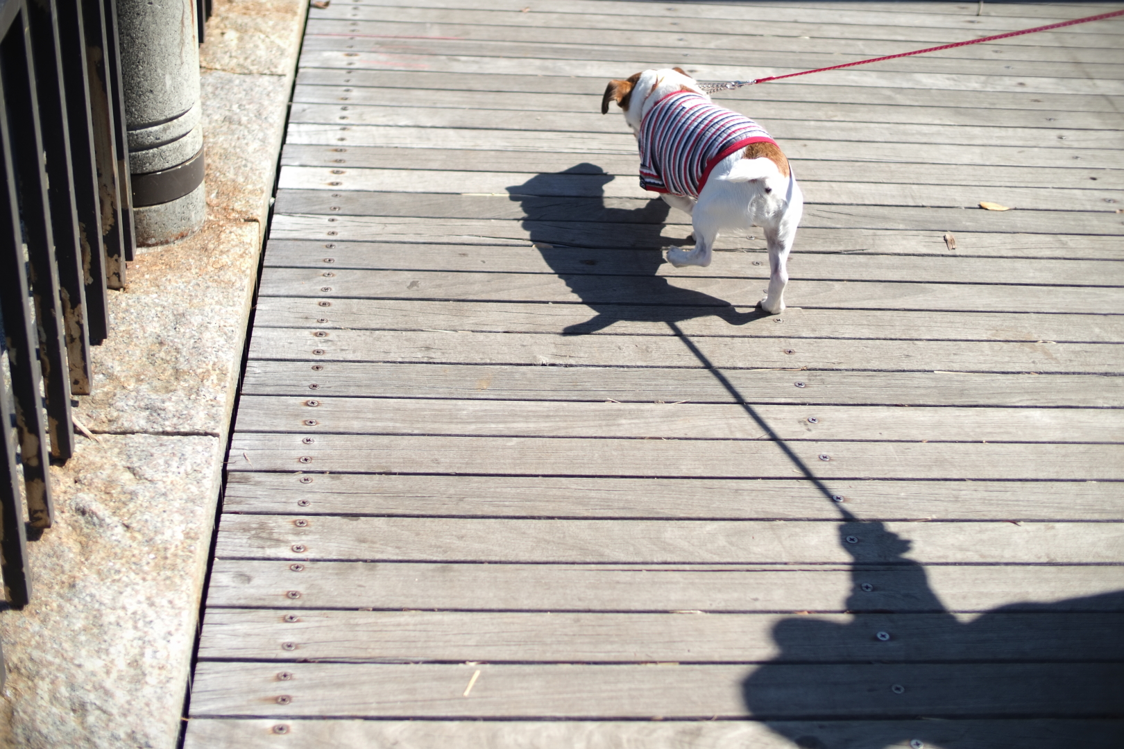 f:id:hisadoi:20210315130654j:plain