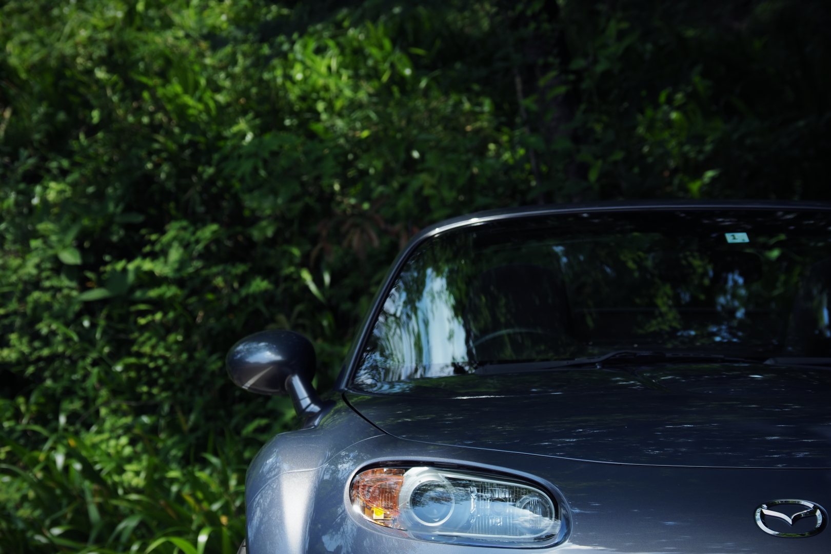 f:id:hisadoi:20210530105015j:plain