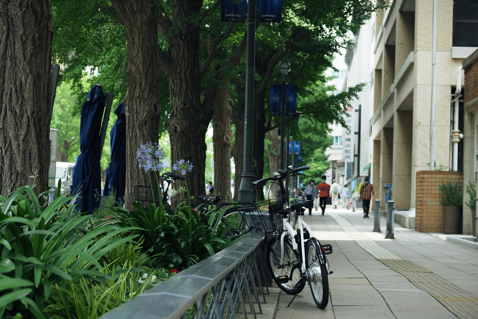 f:id:hisadoi:20210627100237j:plain