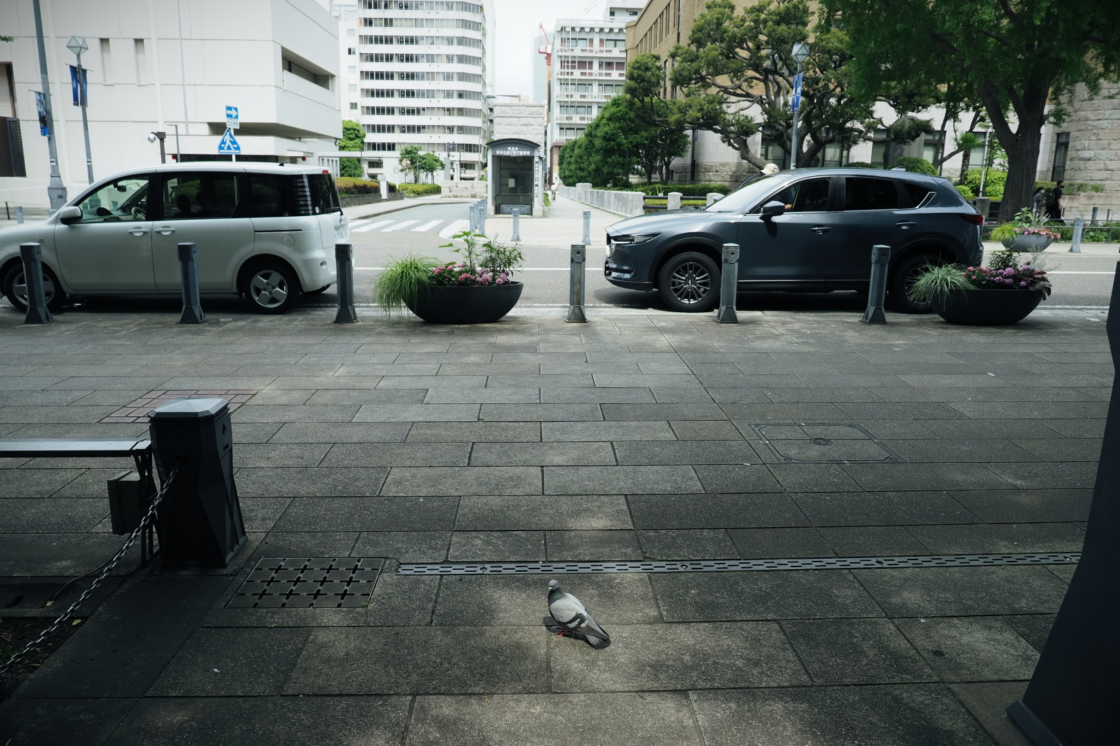 f:id:hisadoi:20210627100454j:plain