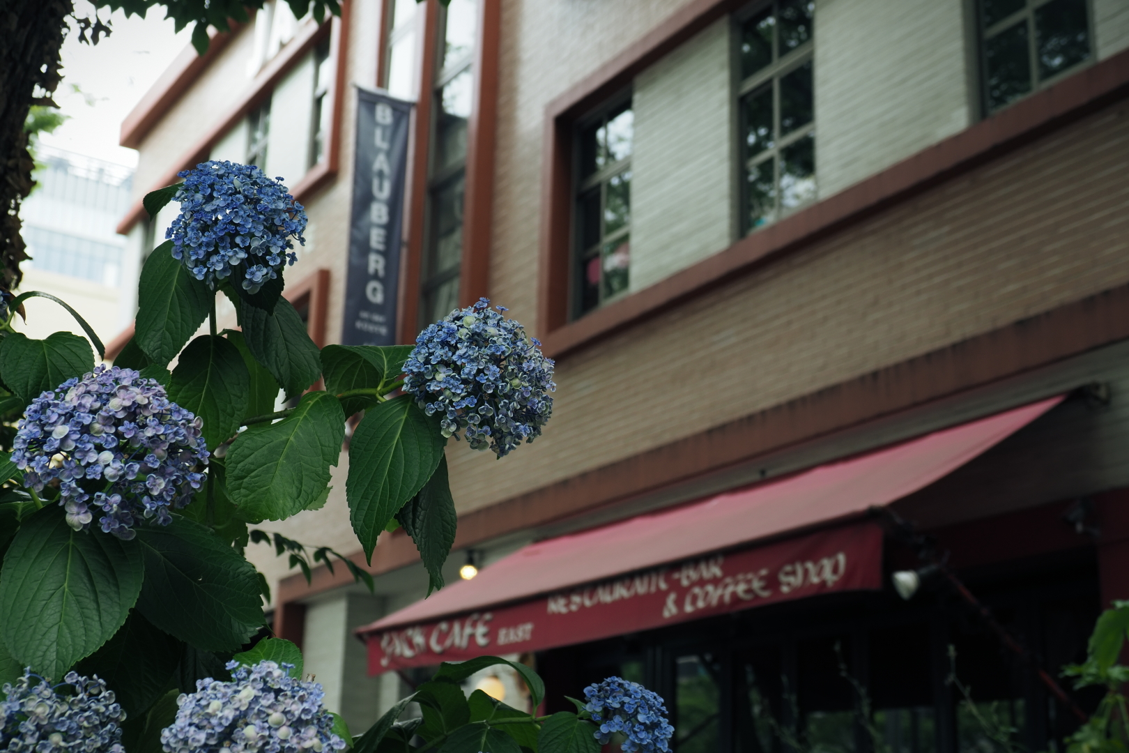 f:id:hisadoi:20210627103923j:plain