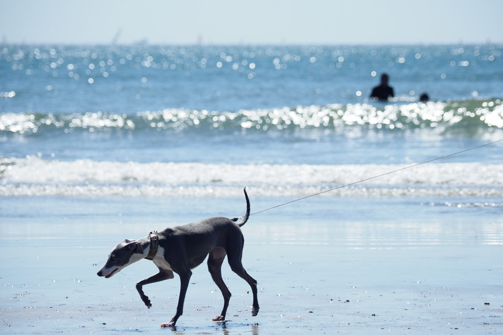 f:id:hisadoi:20210920111346j:plain