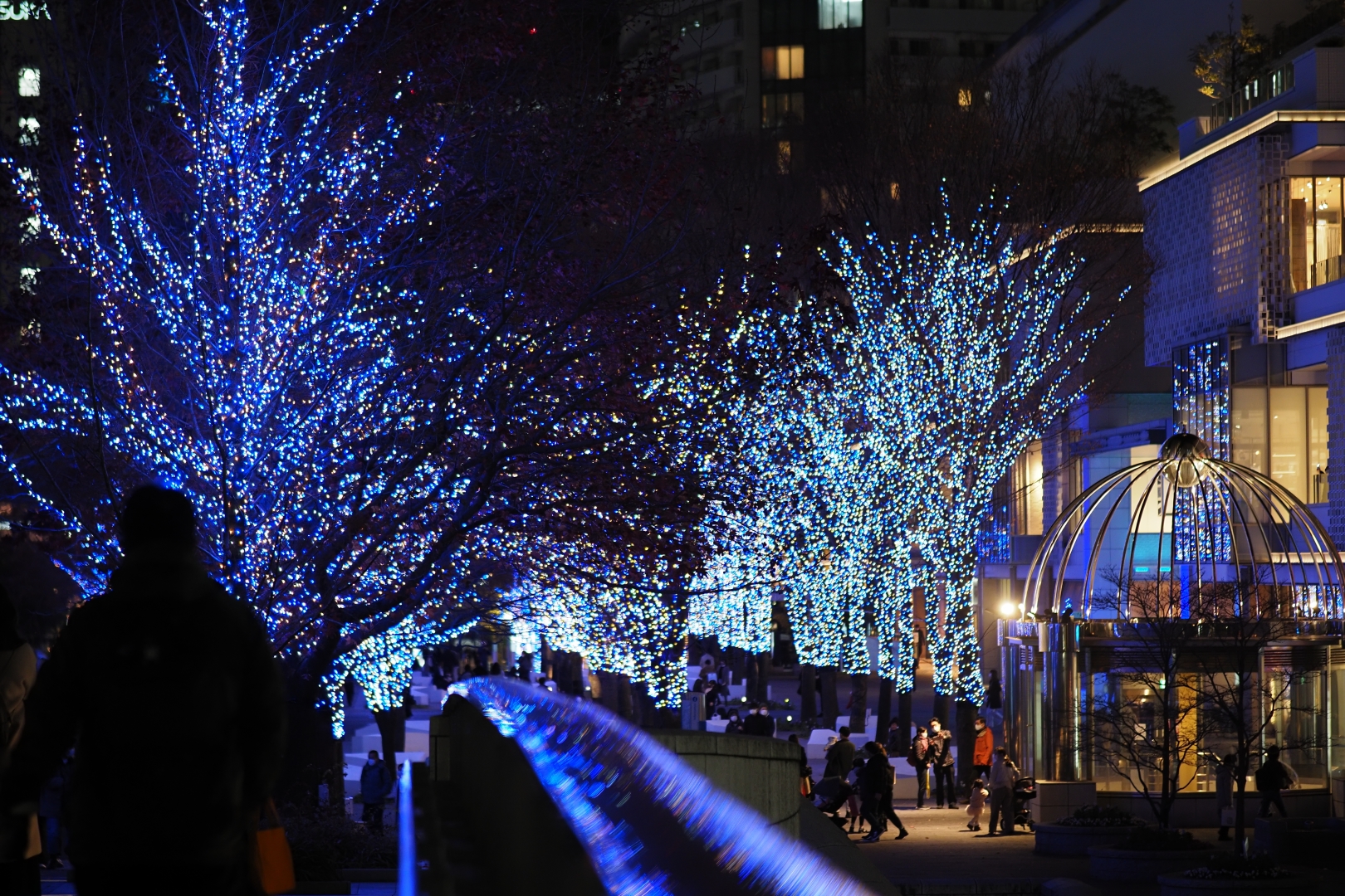 f:id:hisadoi:20211222175102j:plain