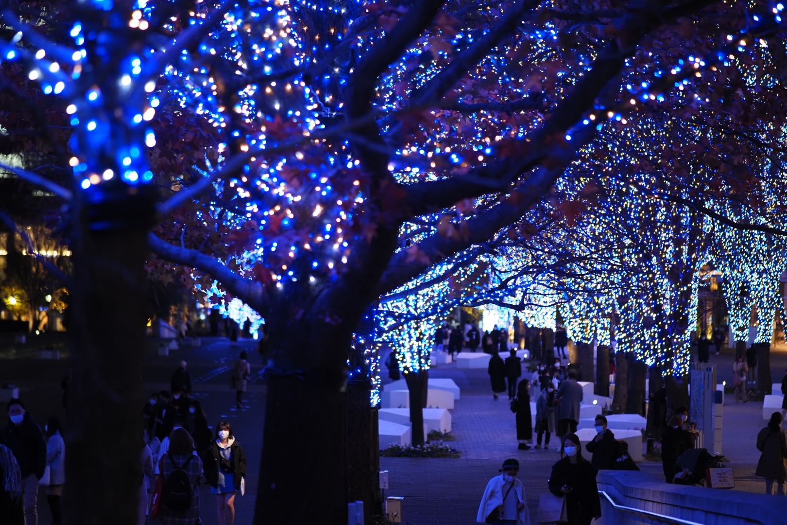 f:id:hisadoi:20211222175144j:plain