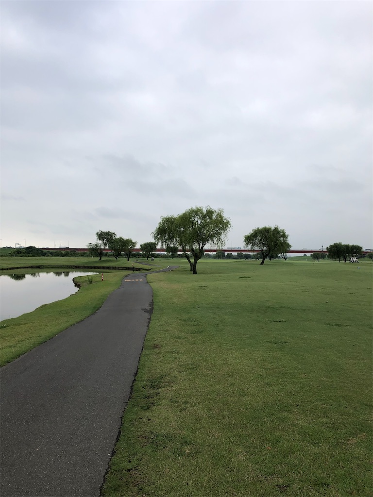 f:id:hisafish:20190625220012j:image