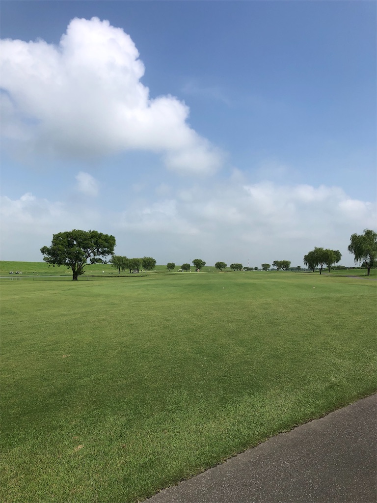 f:id:hisafish:20190625221611j:image