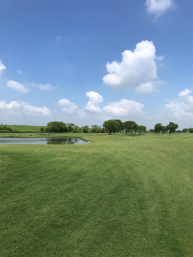 f:id:hisafish:20190625222900j:image