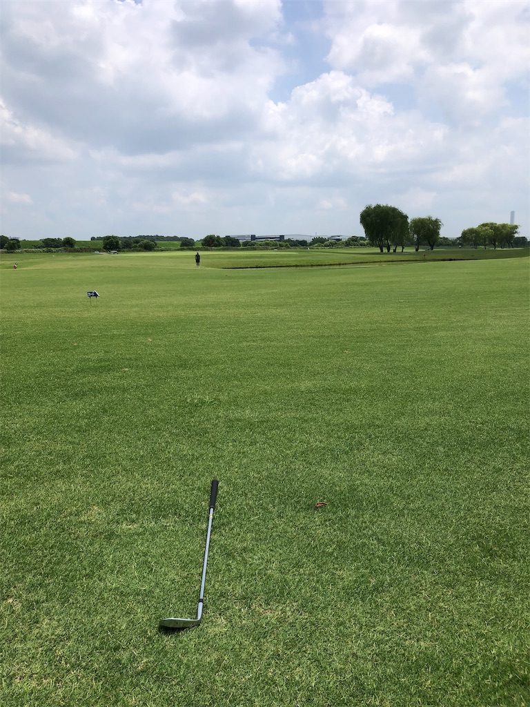 f:id:hisafish:20190625225405j:image