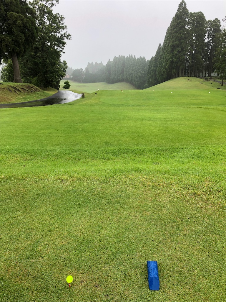 f:id:hisafish:20190630201721j:image