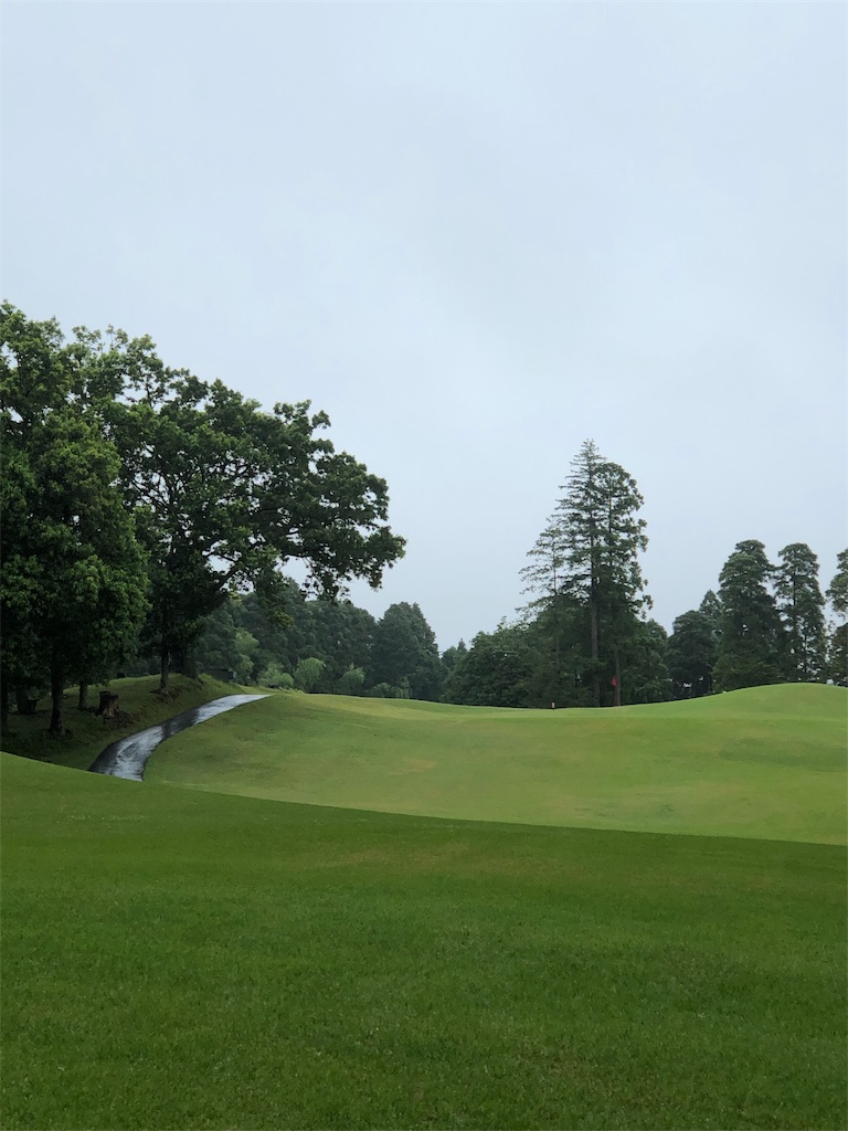 f:id:hisafish:20190630202106j:image