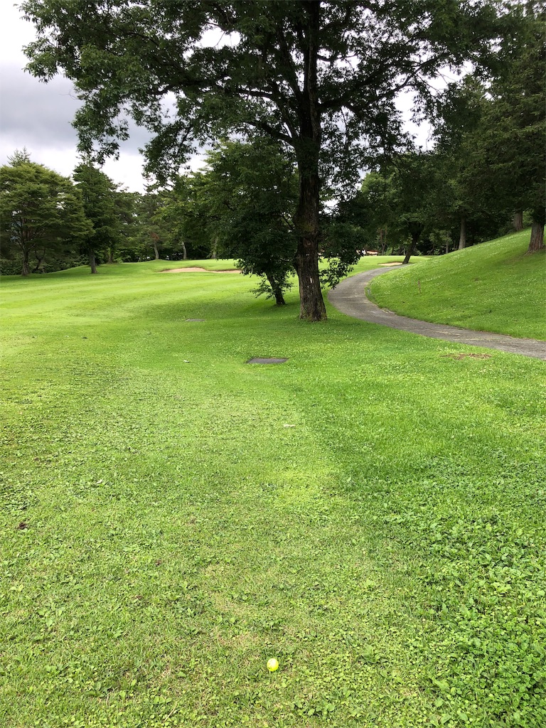 f:id:hisafish:20190707224048j:image
