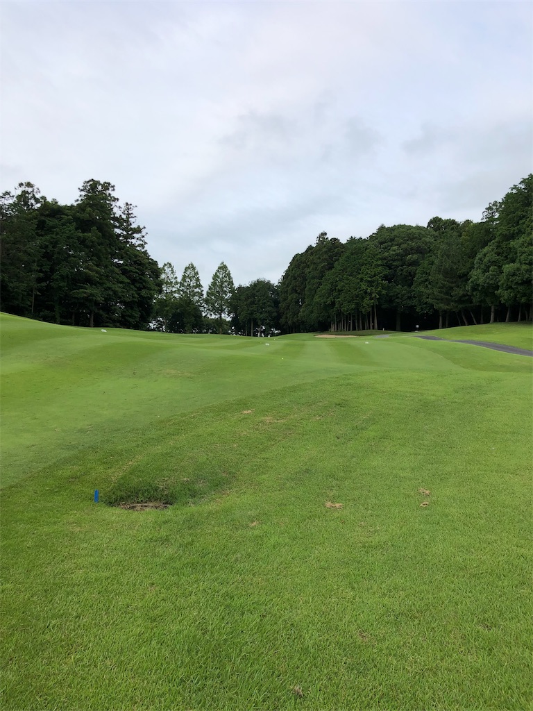 f:id:hisafish:20190720215232j:image