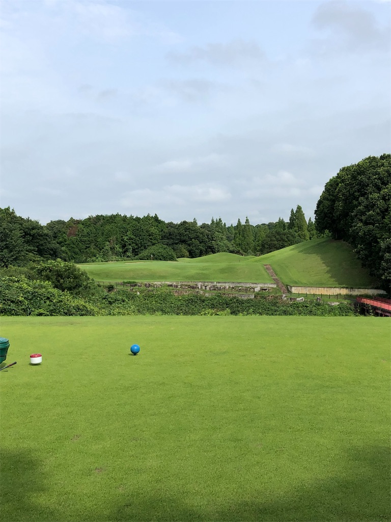 f:id:hisafish:20190720215400j:image