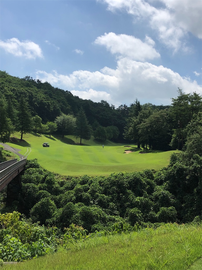 f:id:hisafish:20190727124809j:image