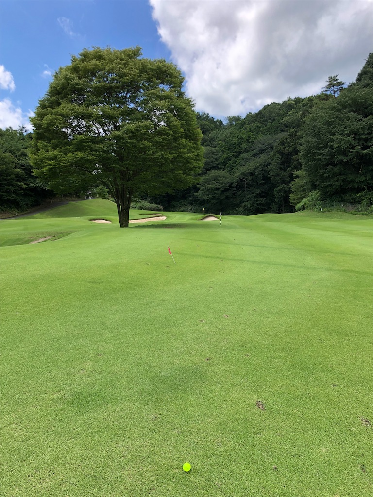 f:id:hisafish:20190727130520j:image