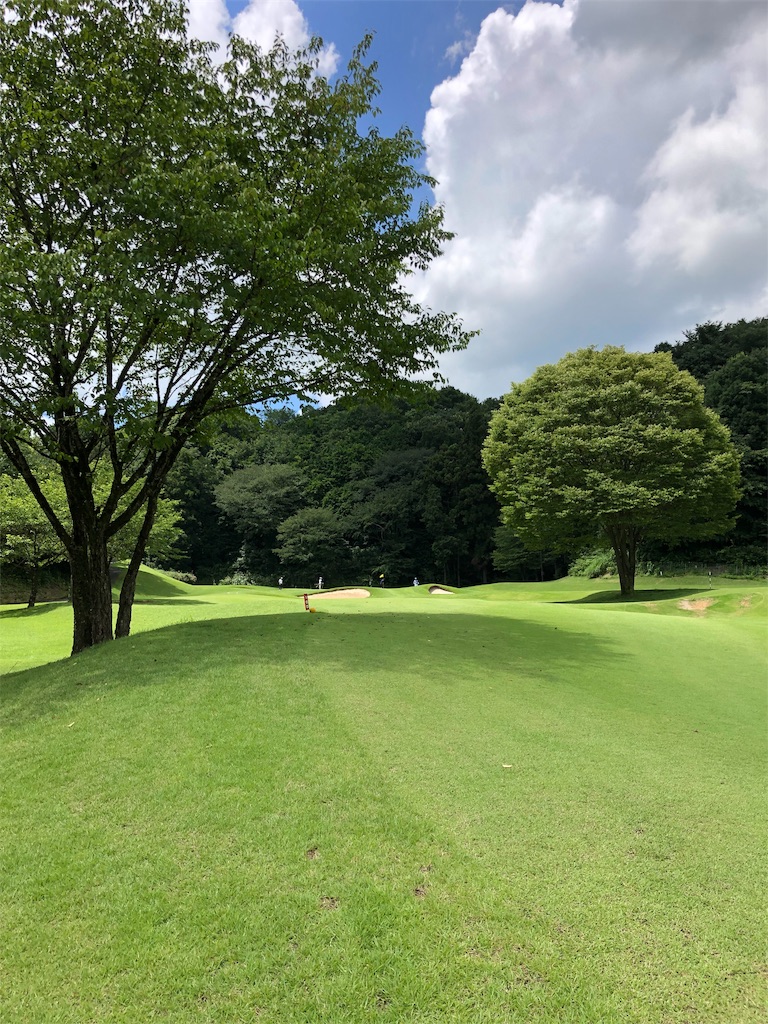 f:id:hisafish:20190727130540j:image