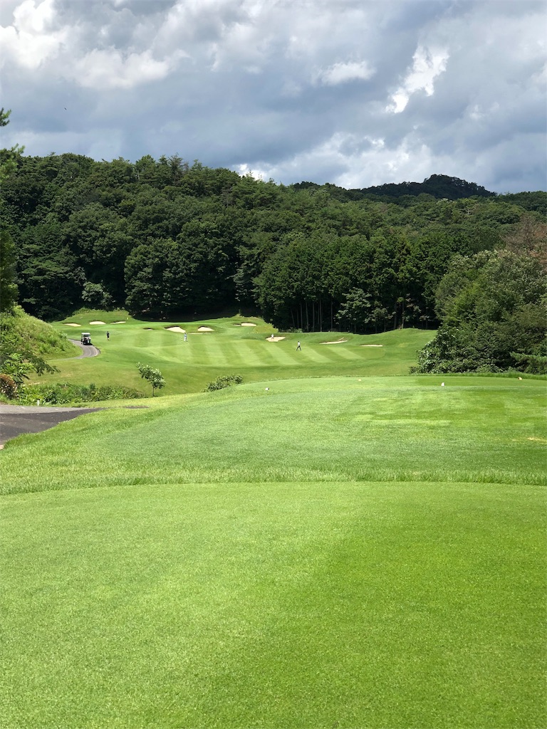 f:id:hisafish:20190727132859j:image