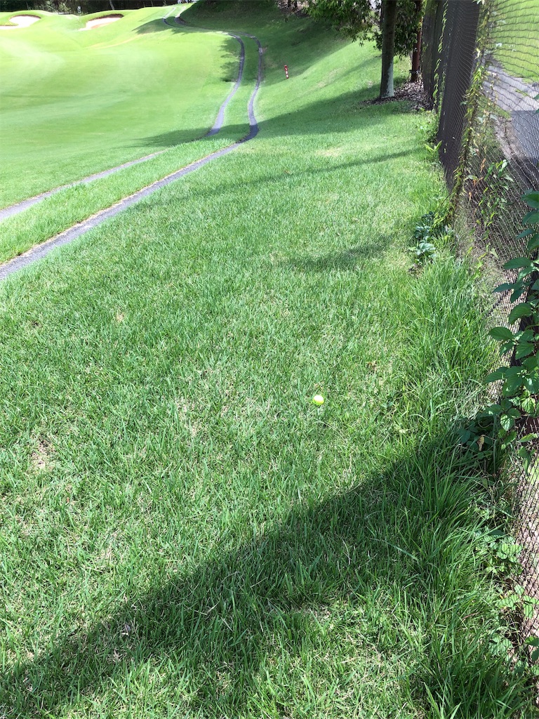 f:id:hisafish:20190727143511j:image
