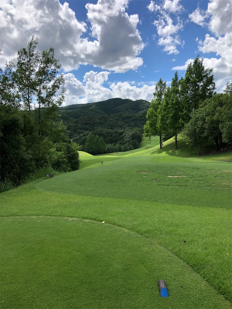 f:id:hisafish:20190727143705j:image