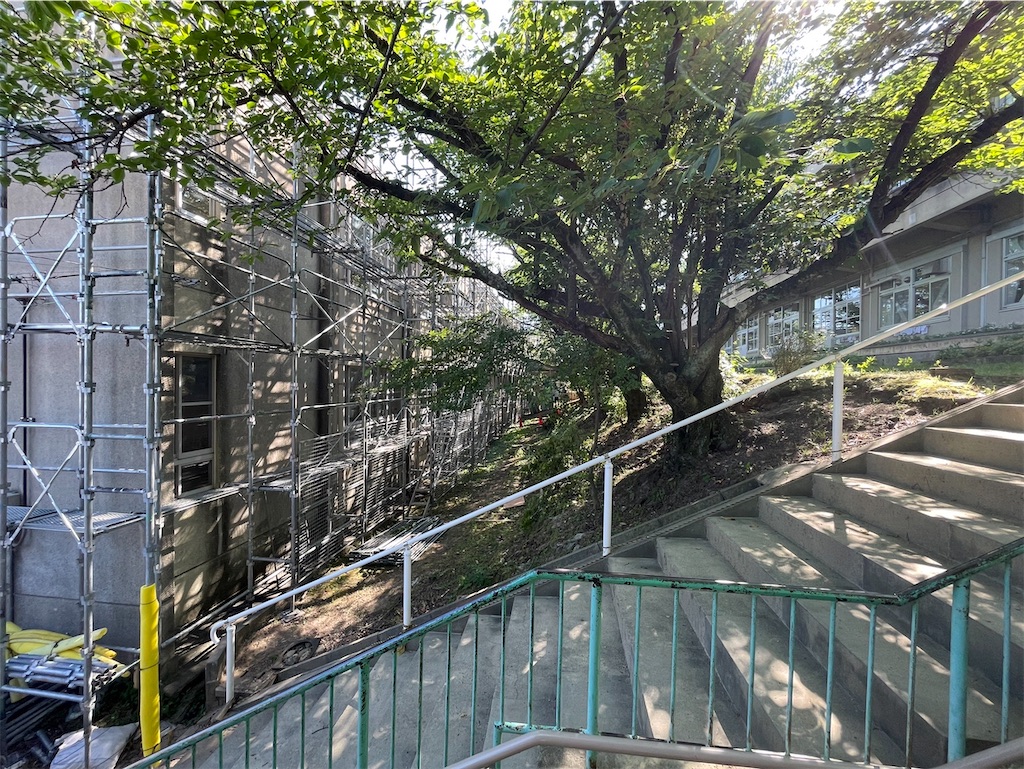 f:id:hisakazu007:20240721183301j:image f:id:hisakazu007:20240721183301j:image