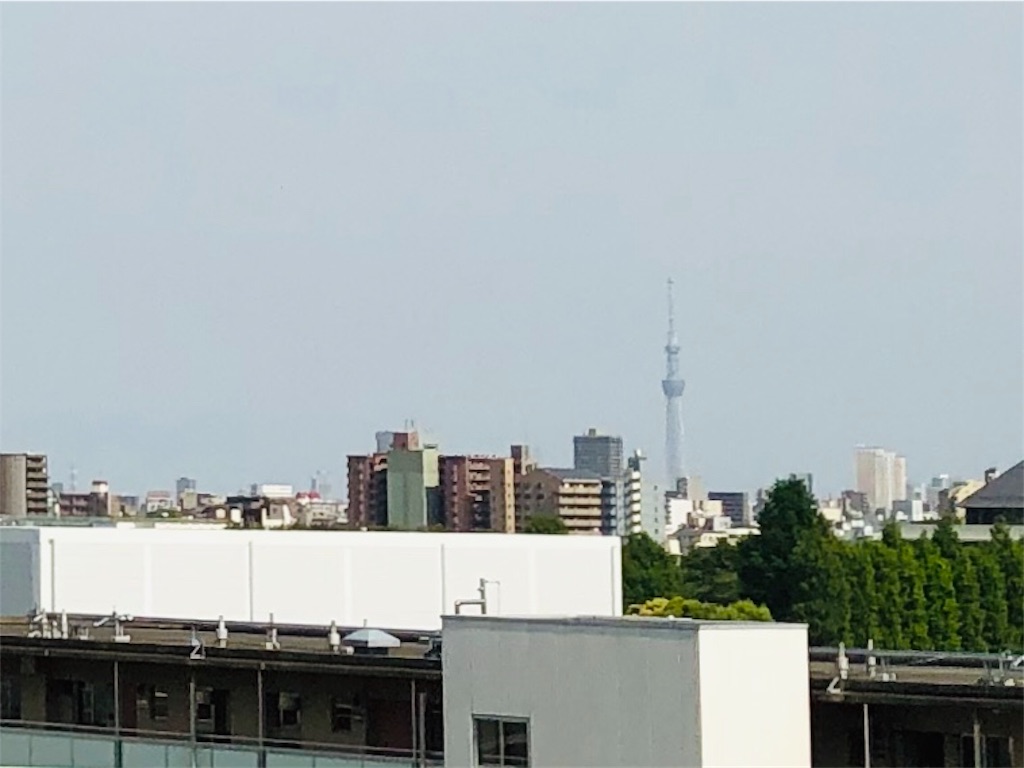 f:id:hisakokk:20190512184516j:image f:id:hisakokk:20190512184516j:image