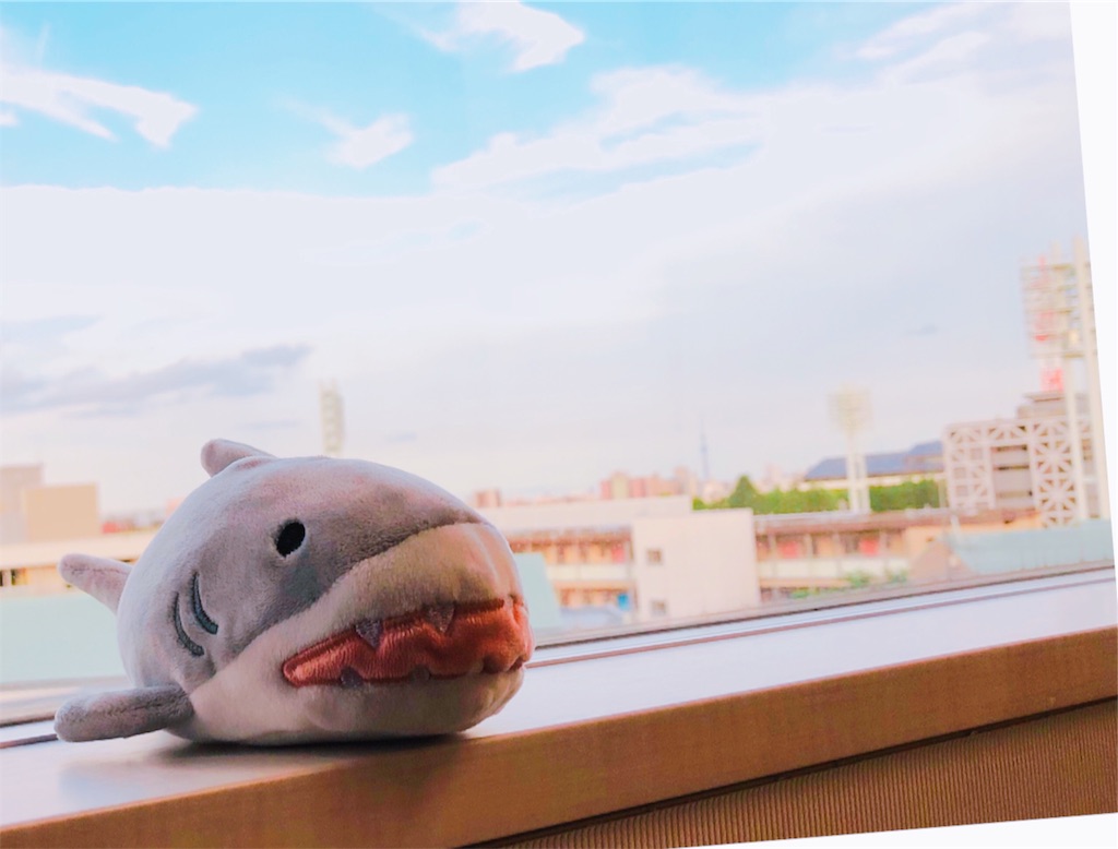 f:id:hisakokk:20190812032711j:image f:id:hisakokk:20190812032711j:image