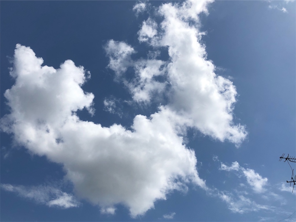 f:id:hisakokk:20190926022119j:image f:id:hisakokk:20190926022119j:image