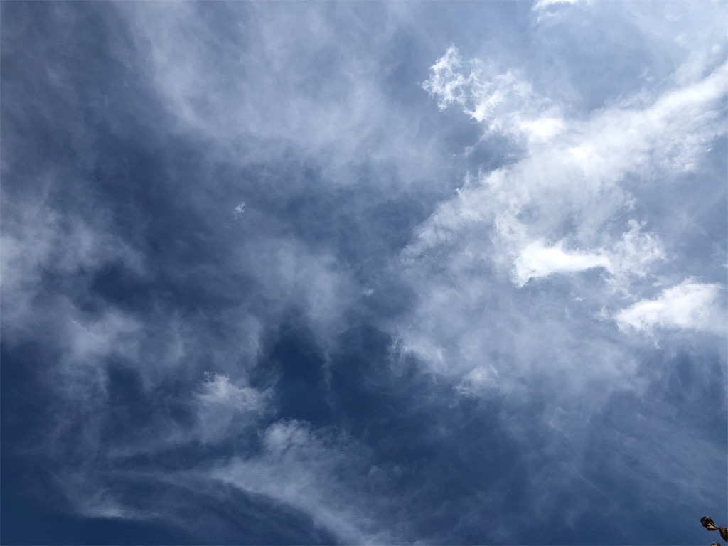 f:id:hisakokk:20190926022122j:image f:id:hisakokk:20190926022122j:image