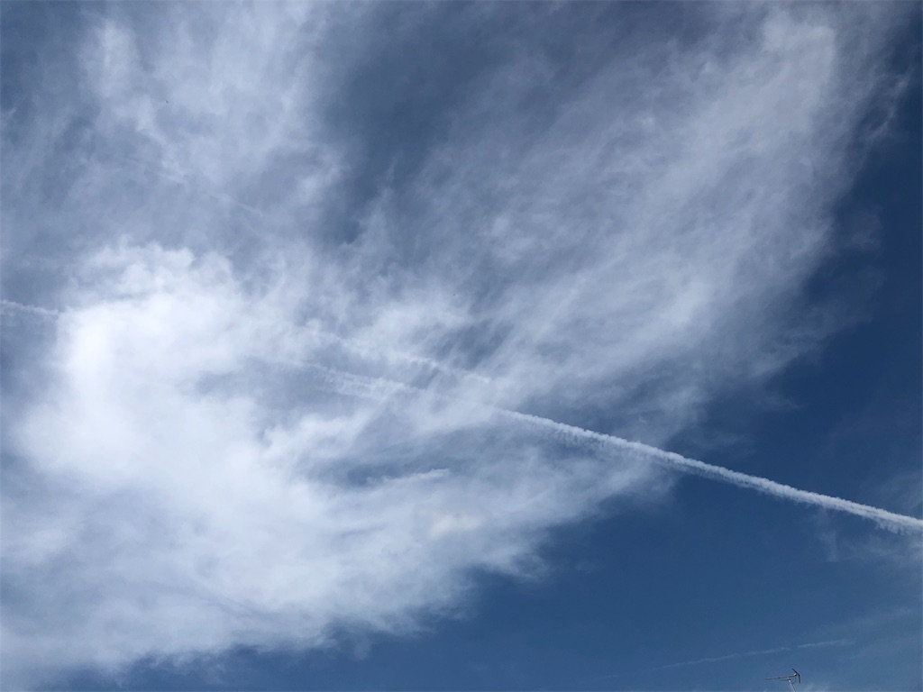 f:id:hisakokk:20190926022129j:image f:id:hisakokk:20190926022129j:image