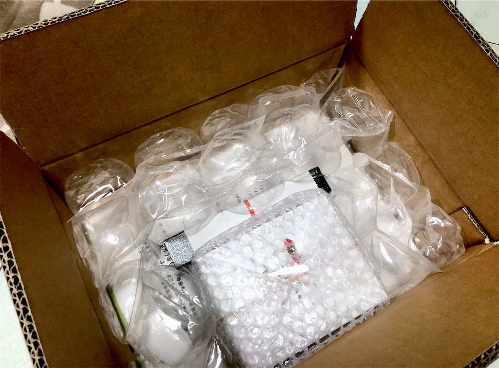 f:id:hisakokk:20200504015258j:image