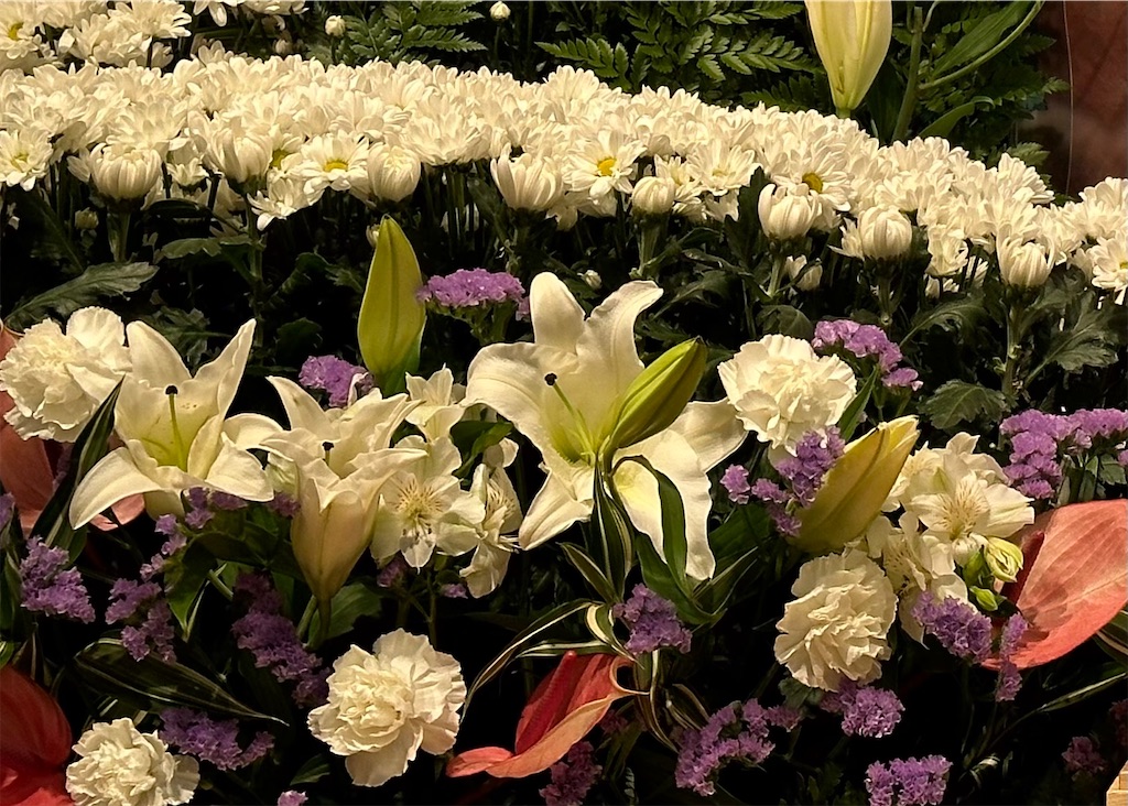 f:id:hisakokk:20230513145710j:image f:id:hisakokk:20230513145710j:image