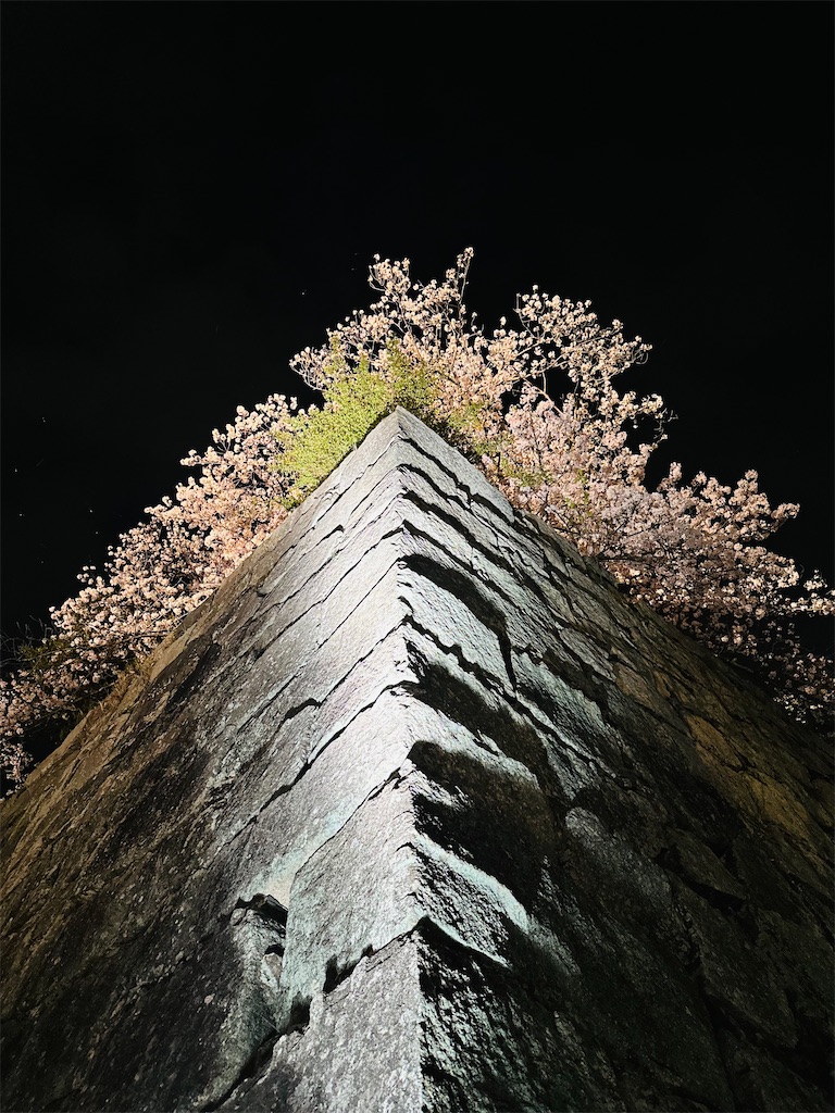 f:id:hisakokk:20240419172809j:image