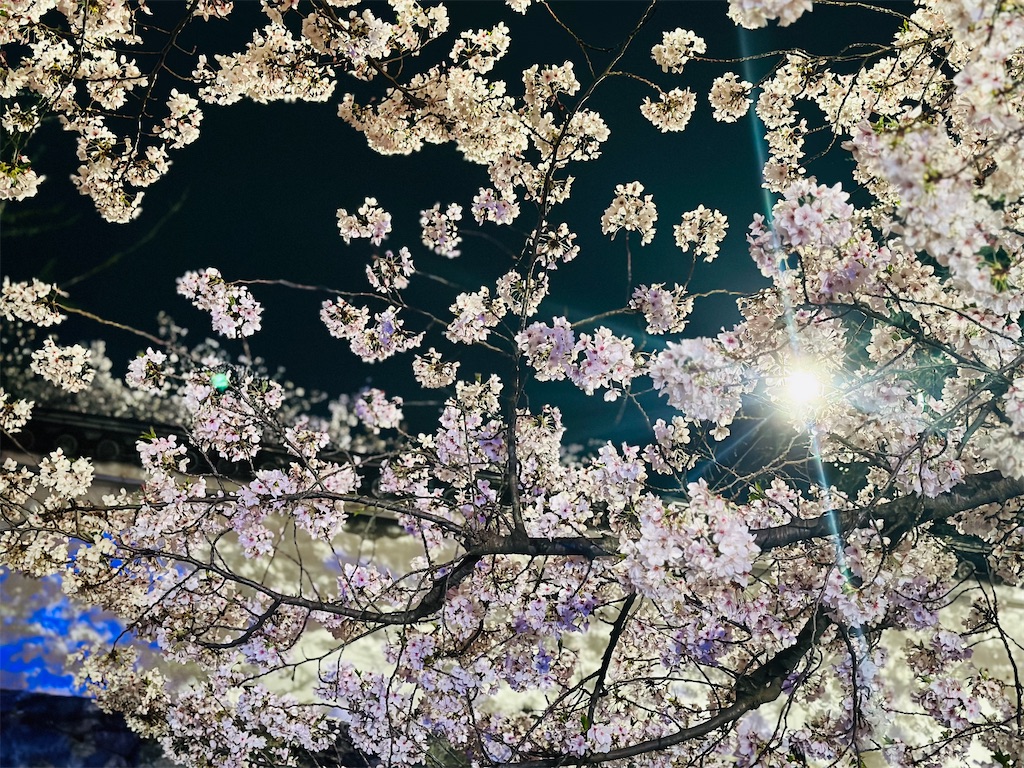 f:id:hisakokk:20240419172817j:image