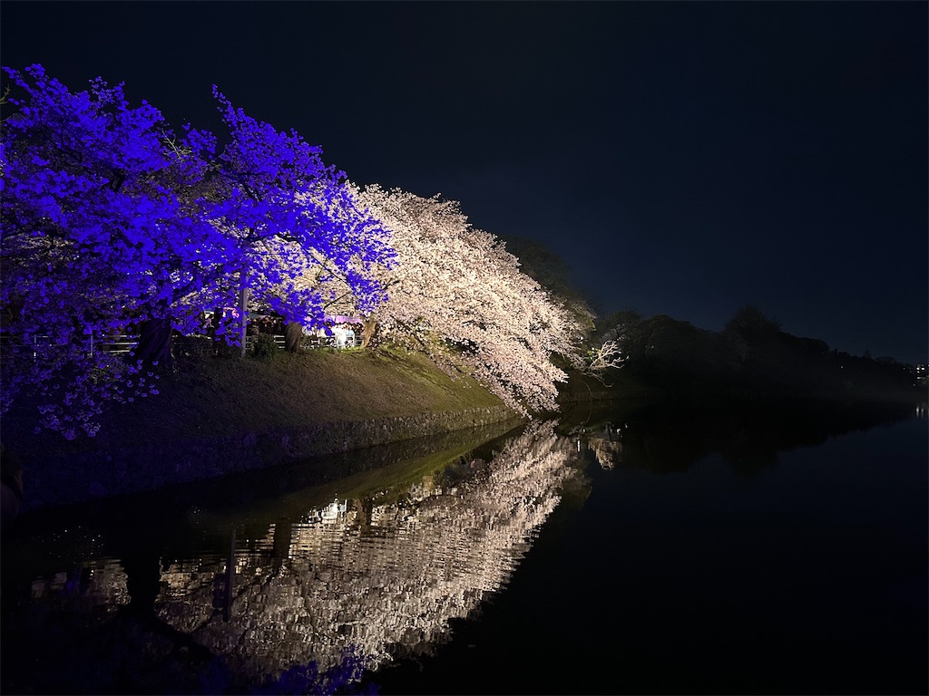 f:id:hisakokk:20240419172822j:image