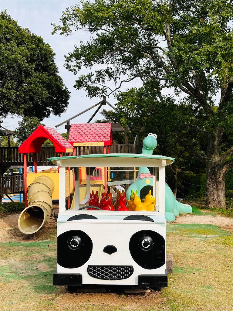 f:id:hisakokk:20241105235306j:image