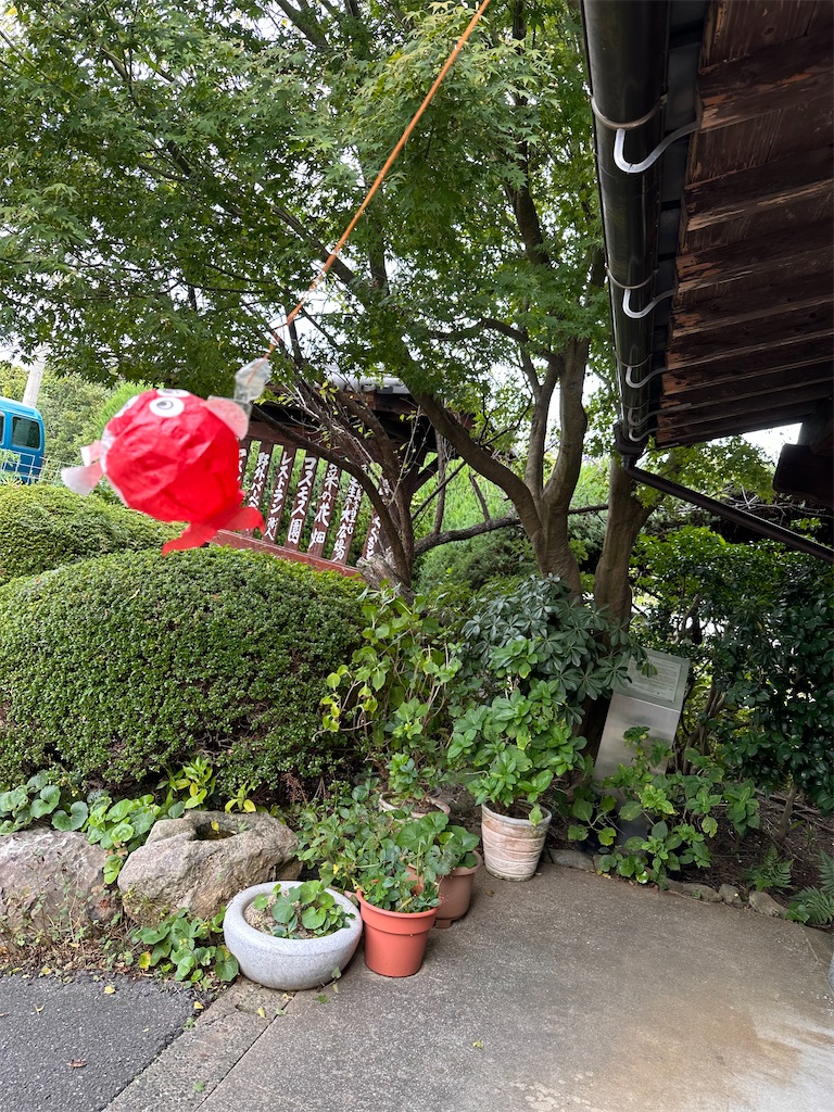 f:id:hisakokk:20241105235314j:image