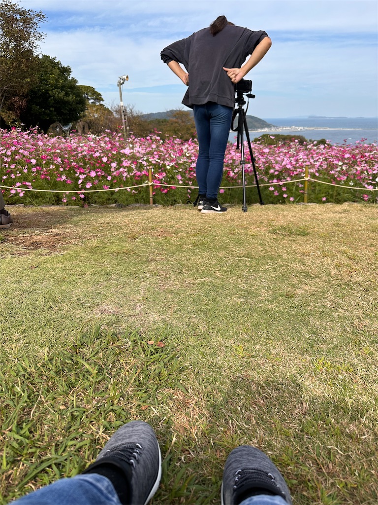 f:id:hisakokk:20241105235318j:image