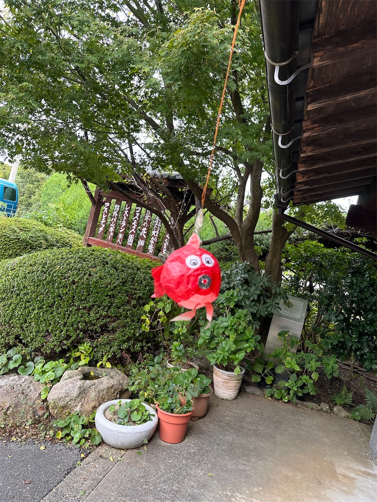 f:id:hisakokk:20241105235343j:image