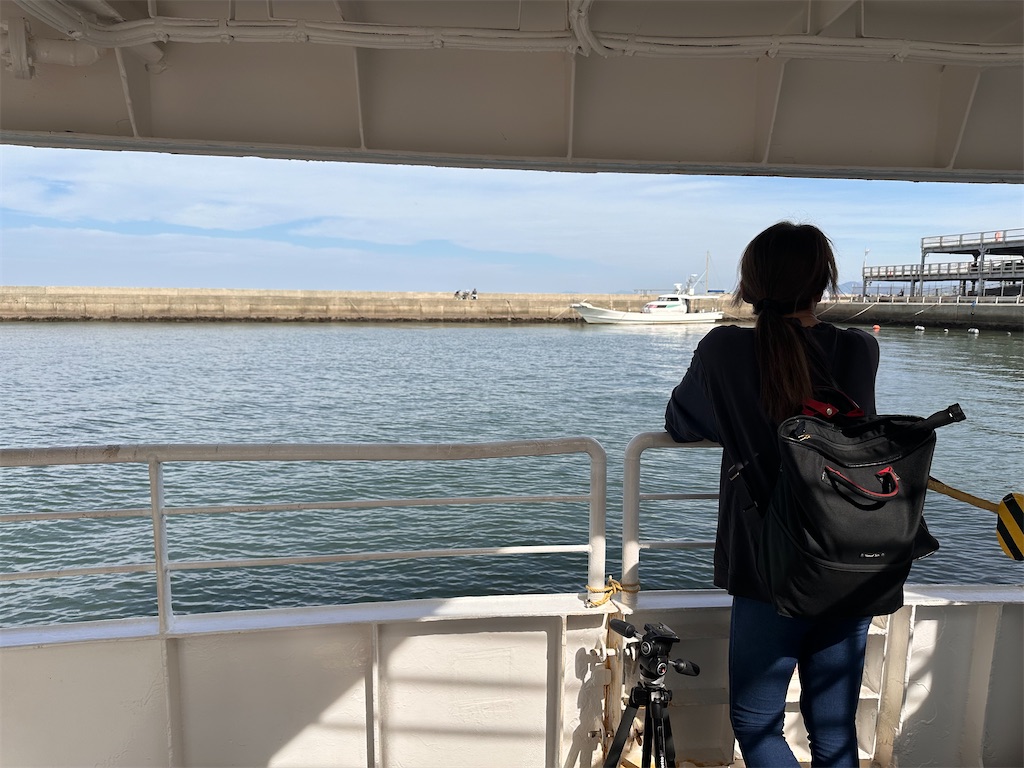 f:id:hisakokk:20241105235351j:image