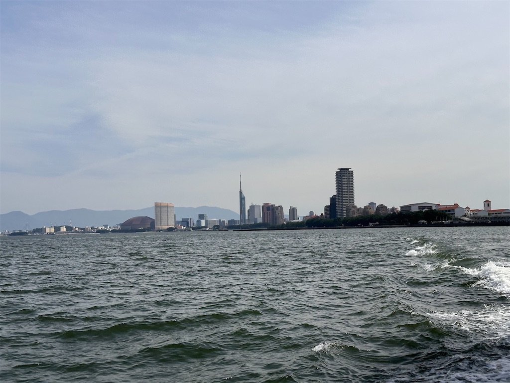 f:id:hisakokk:20241105235357j:image