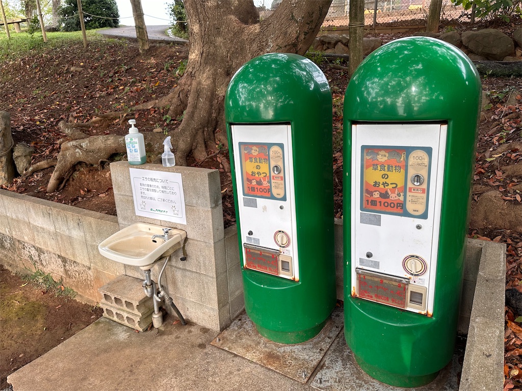 f:id:hisakokk:20241105235412j:image