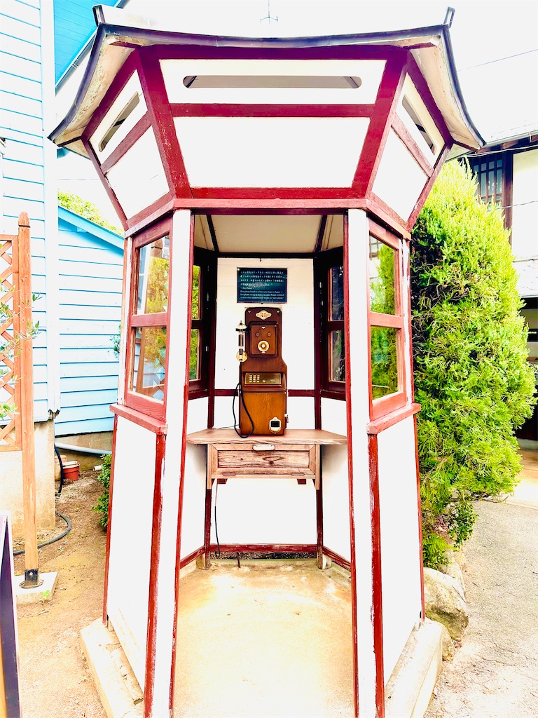 f:id:hisakokk:20241105235434j:image