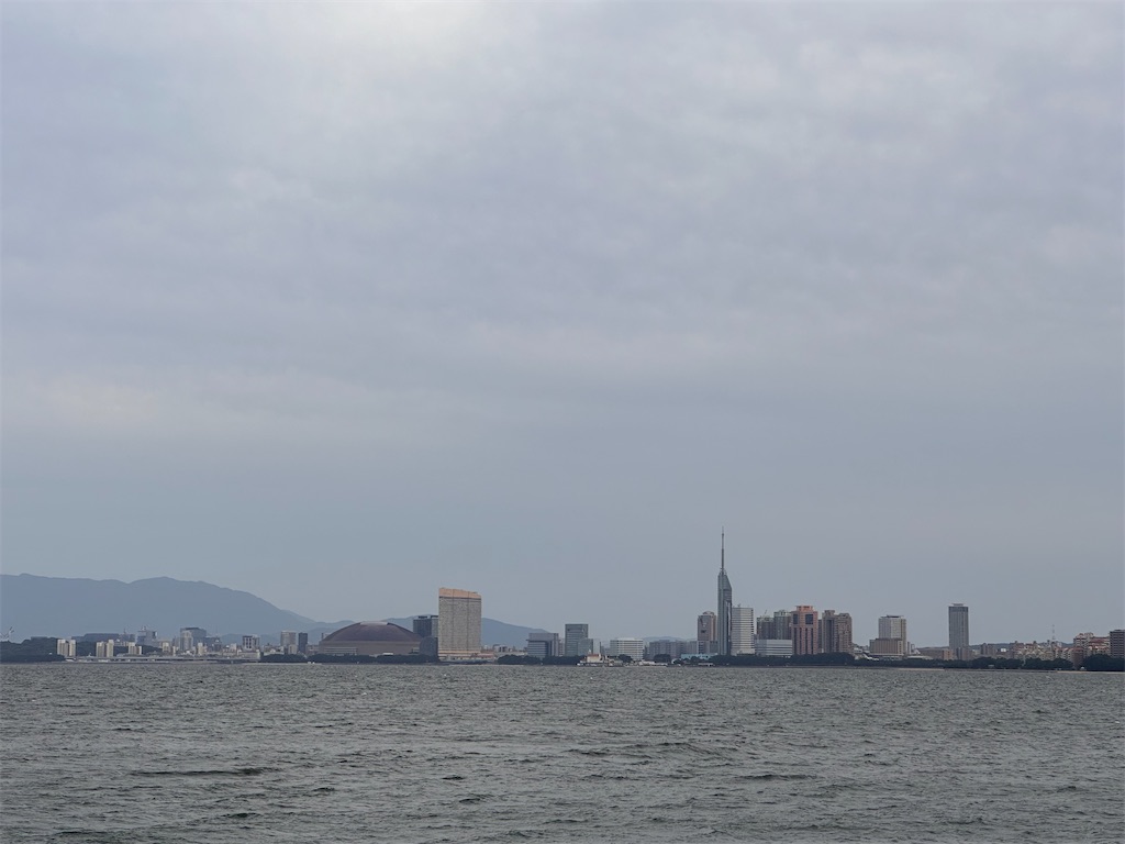 f:id:hisakokk:20241105235455j:image