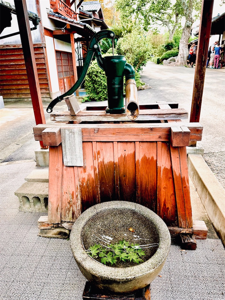 f:id:hisakokk:20241105235521j:image