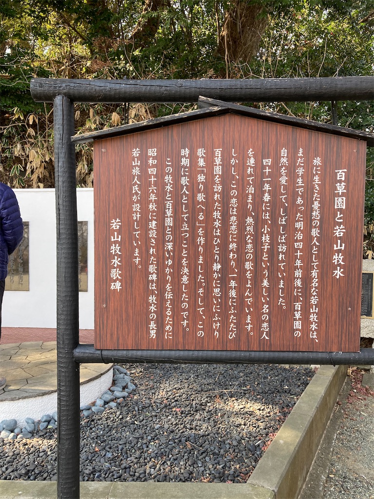 f:id:hisakyonsan:20250228180121j:image