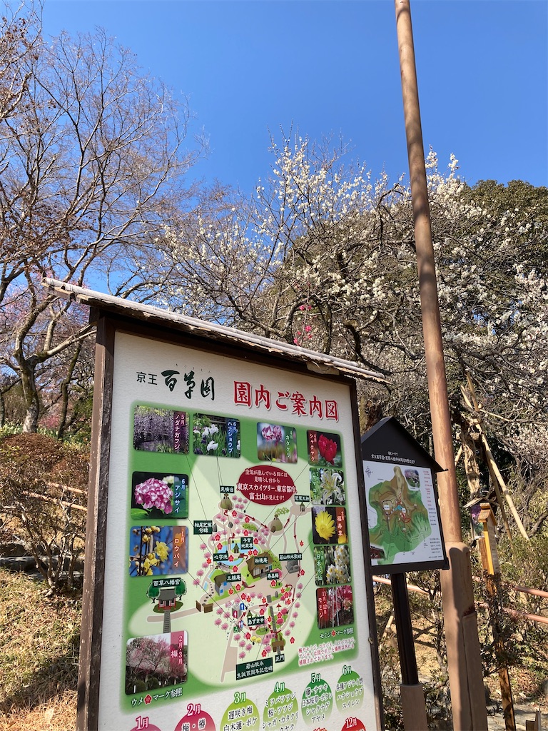 f:id:hisakyonsan:20250228180204j:image