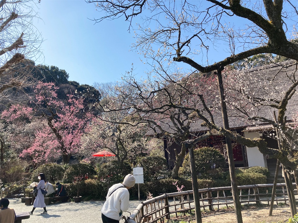 f:id:hisakyonsan:20250228180208j:image