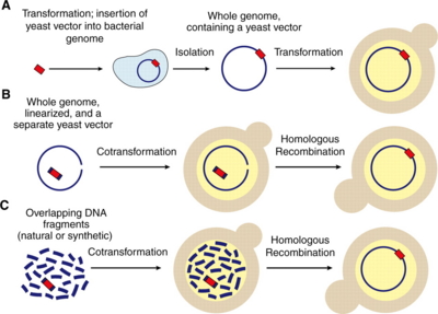 f:id:hisaom:20100317094846j:image:left