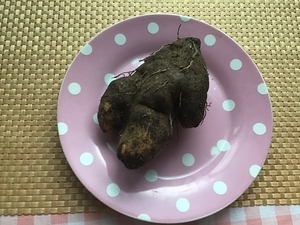 f:id:hisaponpon213:20191126161858j:plain f:id:hisaponpon213:20191126161858j:plain