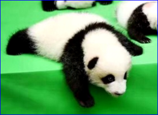 f:id:hisatchkun:20190113230252p:plain f:id:hisatchkun:20190113230252p:plain